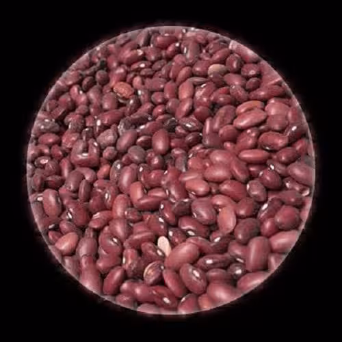 لوبیا قرمز محلی همدان زود پز کیفیت عالی 