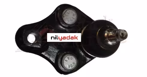 سیبک طبق شاهین