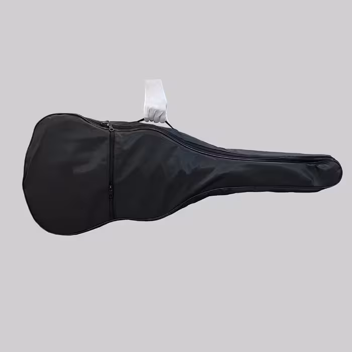 گیتار مدل C70