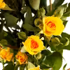 دسته گل رز زرد هیمان مدل مینیاتوری کد Ro12