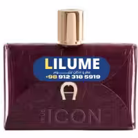 عطر ادکلن اگنر ترو ایکون 100 میل زنانه