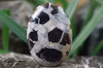 سپتارین مراکش اصل و طبیعی