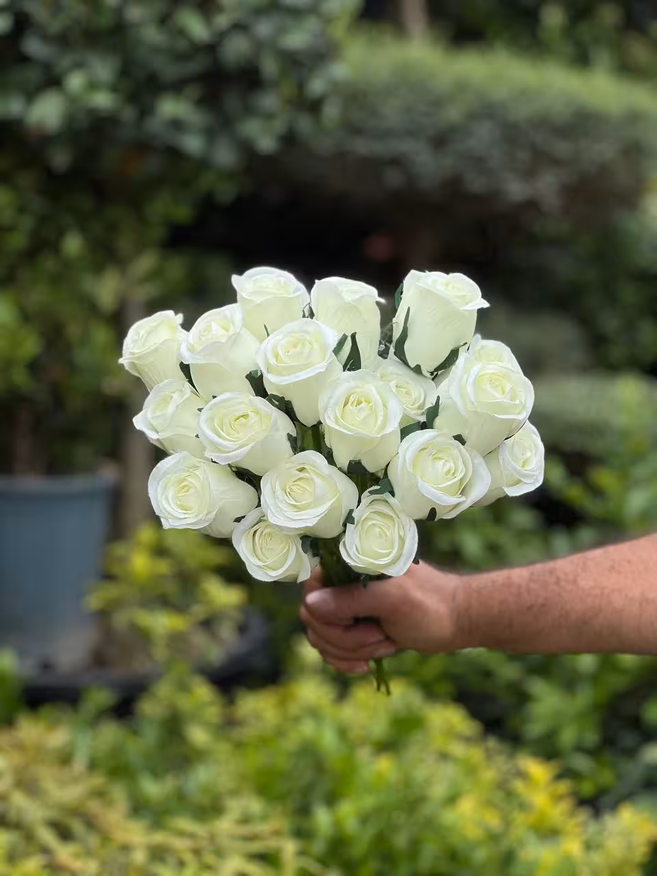 گل رز مصنوعی باکارا سبز کمرنگ 10شاخه وارداتی