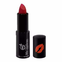رژلب جامد مای میکاپ استوری مدل Lippy شماره LP11