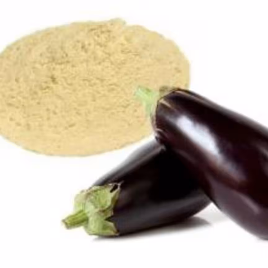 پودر بادمجان  خشک 100 گرمی(عرضه اولیه)