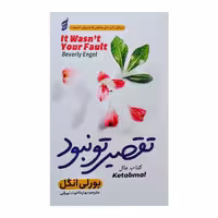 کتاب تقصیر تو نبود اثر بورلی انگل انتشارات آتیسا