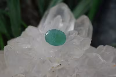 زمرد زامبیا