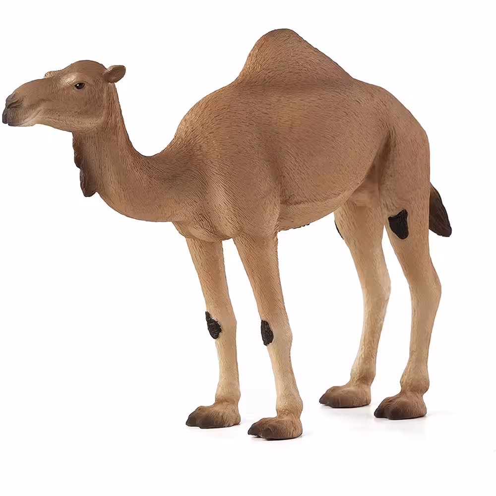 فیگور شتر عربی Arabian Camel 387113 MOJO