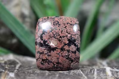 نبولا جاسپر