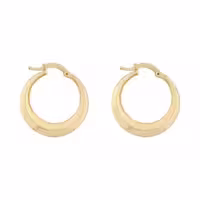 گوشواره طلا 18 عیار زنانه تاج مدل G298