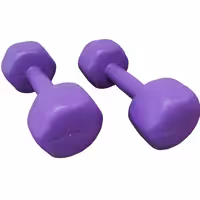 دمبل رادیس فیت مدل RPHF-2000 وزن 2 کیلوگرم بسته 2 عددی