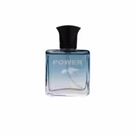 عطر جیبی مردانه پاور پالس مدل اینوکتوس حجم 25 میلی لیتر