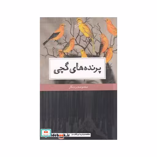 کتاب پرنده های گچی