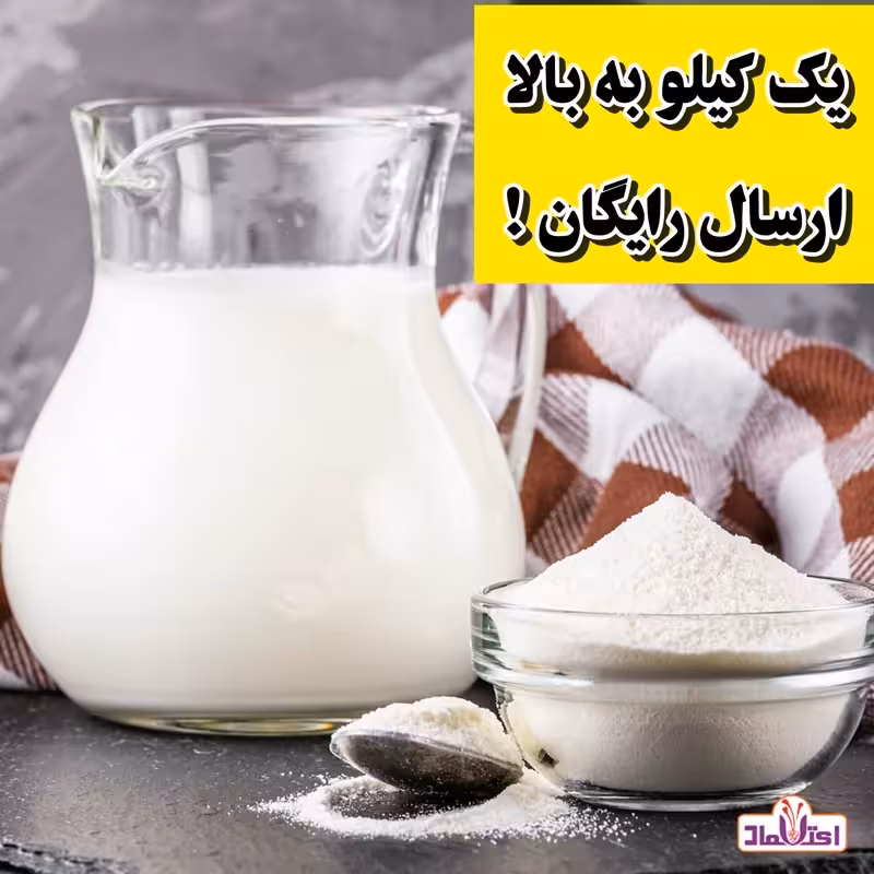 شیر خشک بدون چربی 250 گرمی پگاه(شیرخشک) | amazonchi