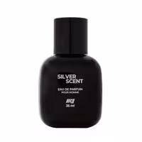 عطر جیبی مردانه نایس پاپت مدل Silver Scent حجم