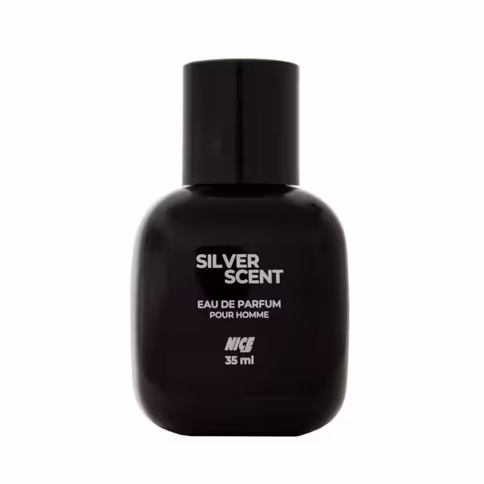 عطر جیبی مردانه نایس پاپت مدل Silver Scent حجم