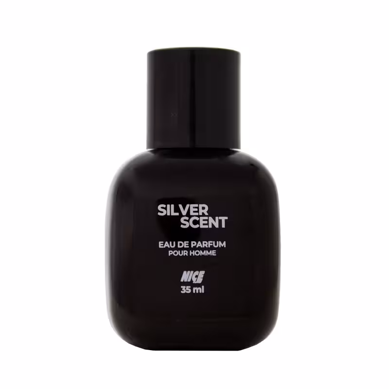 عطر جیبی مردانه نایس پاپت مدل Silver Scent حجم