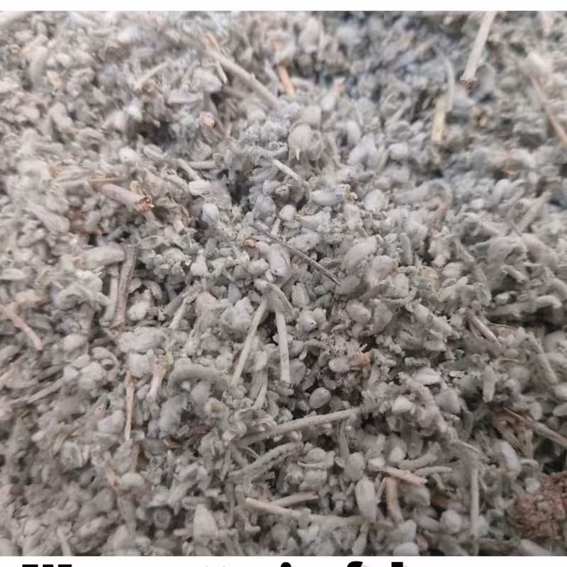 کلپوره ( مریم نخودی ) 250 گرمی اعتماد | amazonchi