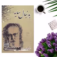 کتاب زندگی و گزیده اشعار هوشنگ ابتهاج ( بدنبال سایه ) انتشارات سایه آرا