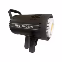 ویدیو لایت 300