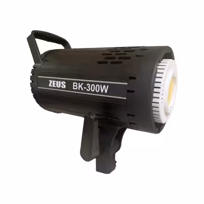 ویدیو لایت 300