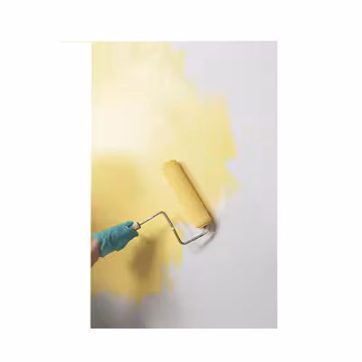 رنگ مشکی اکریلیک لکسوو مدل PROFESIONAL PLUS وزن 1 کیلو گرم