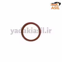 اورینگ منیفولد 206 آریان خودرو TU5