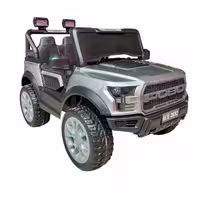 ماشین شارژی شاسی بلند فورد مدل FORD ACE-2692