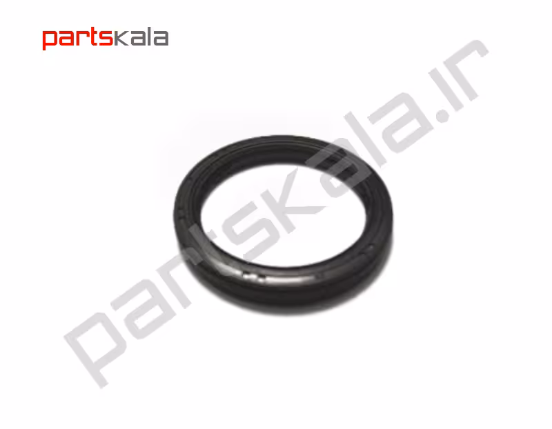 کاسه نمد هوزینگ سانتافه DM