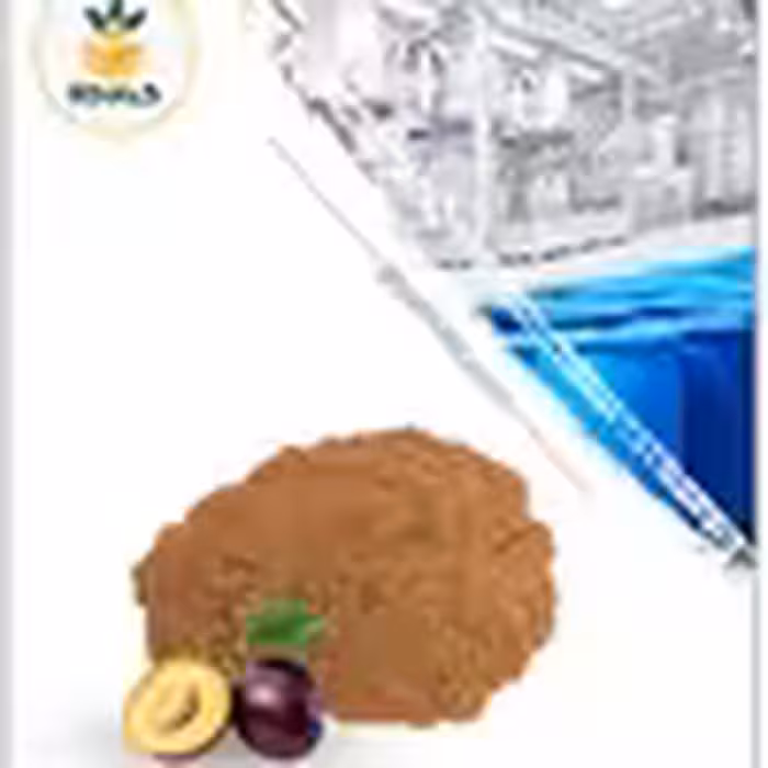 عصاره آلو خشک یا پودری