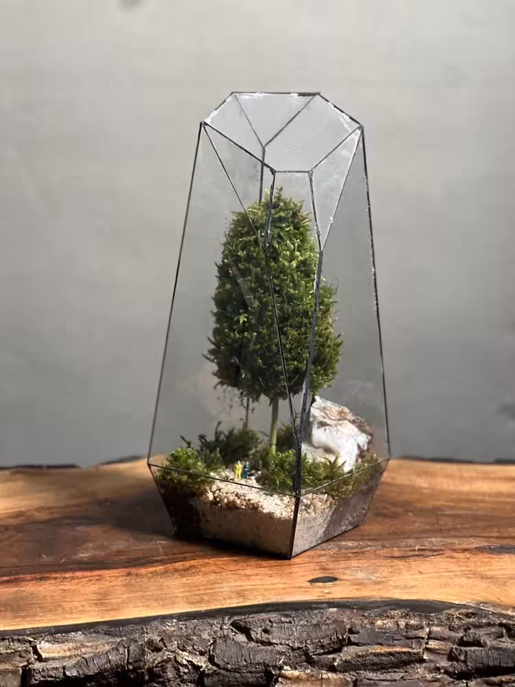 خرید وابی کوزا طرح فاکس 35 Cm(تراریوم) ارسال فوری به تهران و سراسر ایران