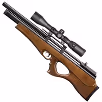 تفنگ پی سی پی آرتمیس P10