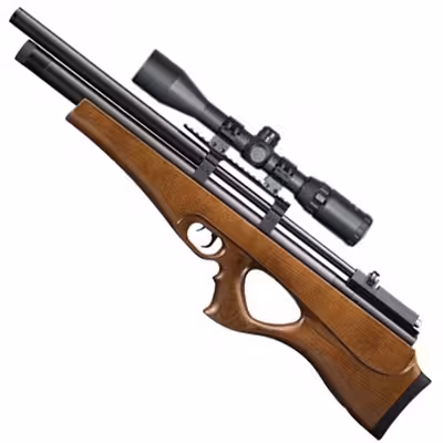 تفنگ پی سی پی آرتمیس P10