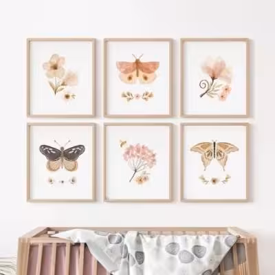 قاب شش تکه طرح butterfly