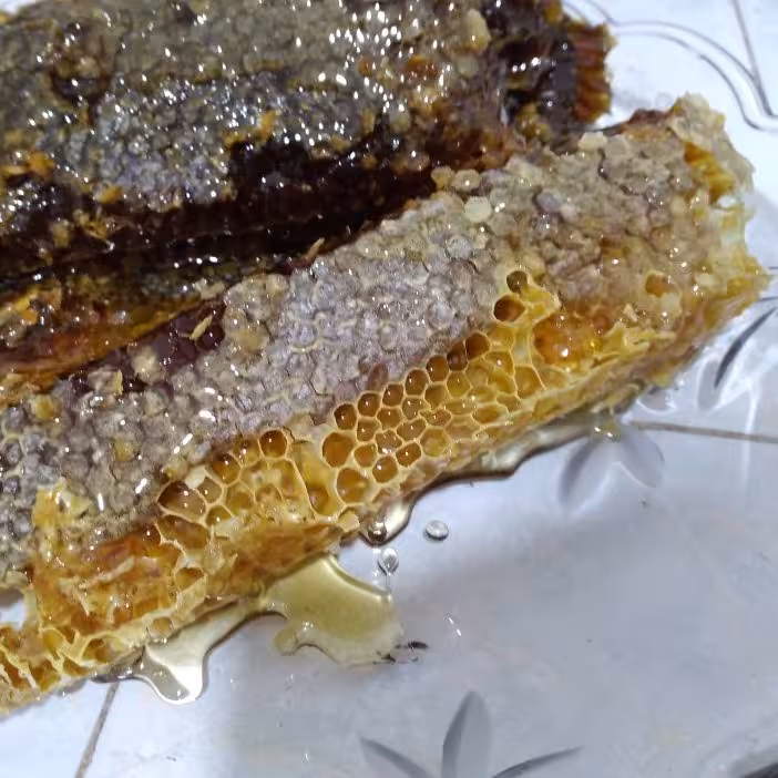 عسل طبیعی 1 کیلویی باموم طارم زنجان
