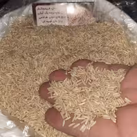 برنج قهوه ای فریدونکنار طارم محلی درجه 1  (10 کیلویی) ارسال رایگان
