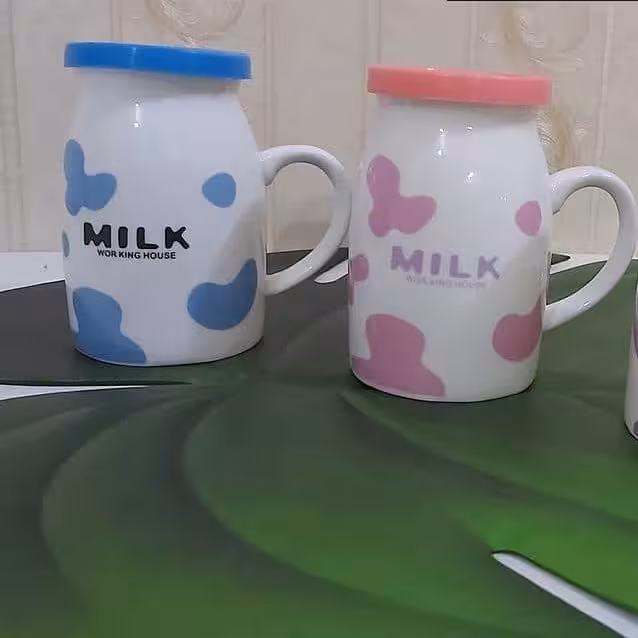 ماگ درب دار