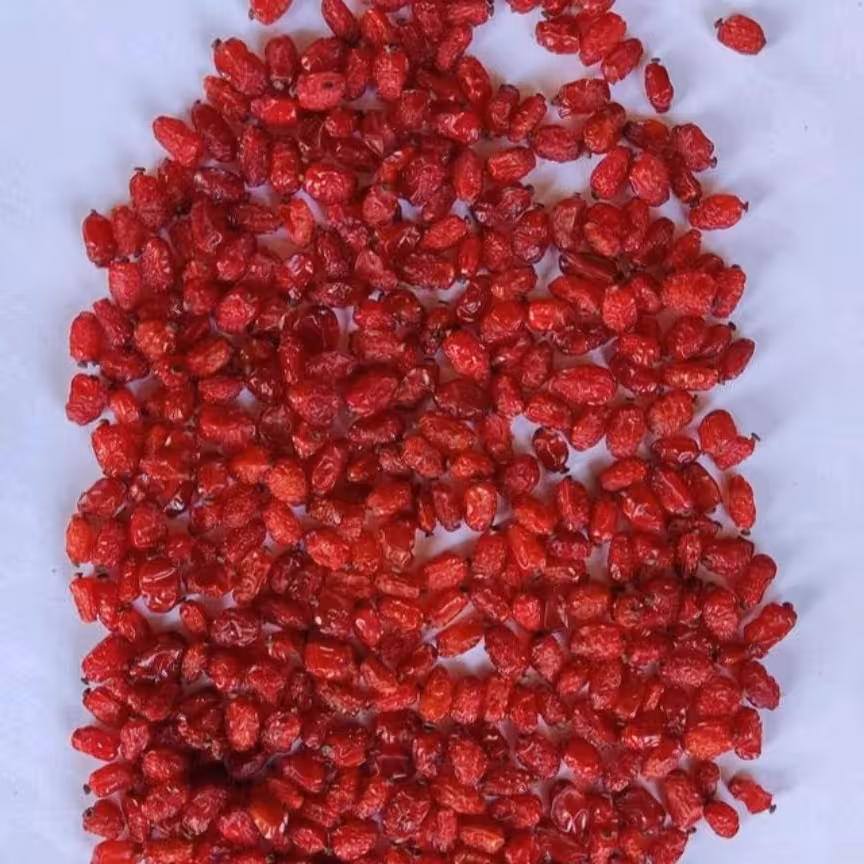 زرشک دانه اناری محصول امساله تمیز باکیفیت وقیمت مناسب، تضمین اصالت وسلامت، در بسته بندی بهداشتی وارسال فوری 