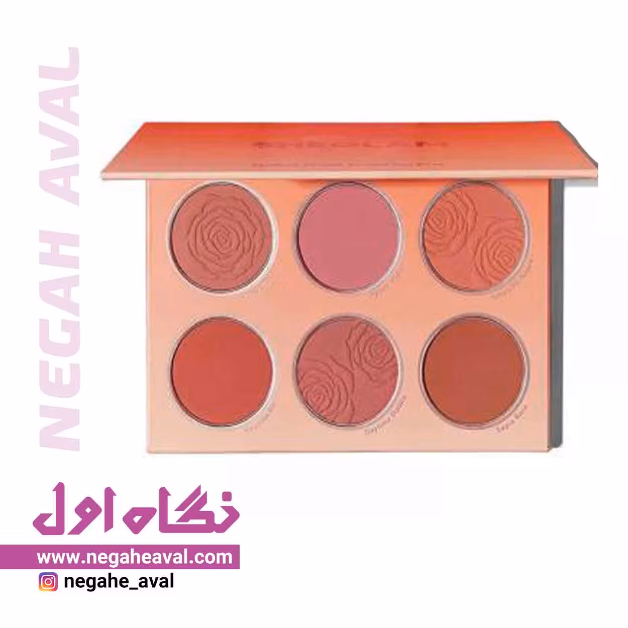 پالت رژگونه 6 رنگ FLORAL FLUSH شیگلم Brown