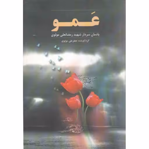 عمو (یادمان سردار شهید رمضانعلی مولوی)