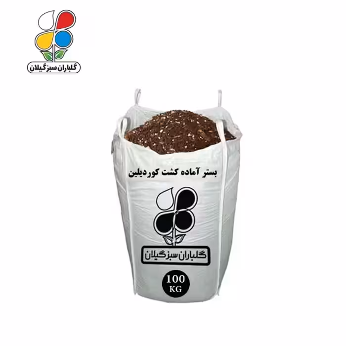 بستر آماده کشت کوردیلین 100 کیلویی