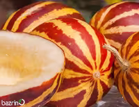 بذر خربزه شمام