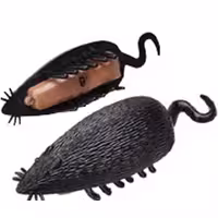 موش ژله ای رباتیک