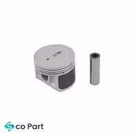 پيستون و گژنپين آزرا