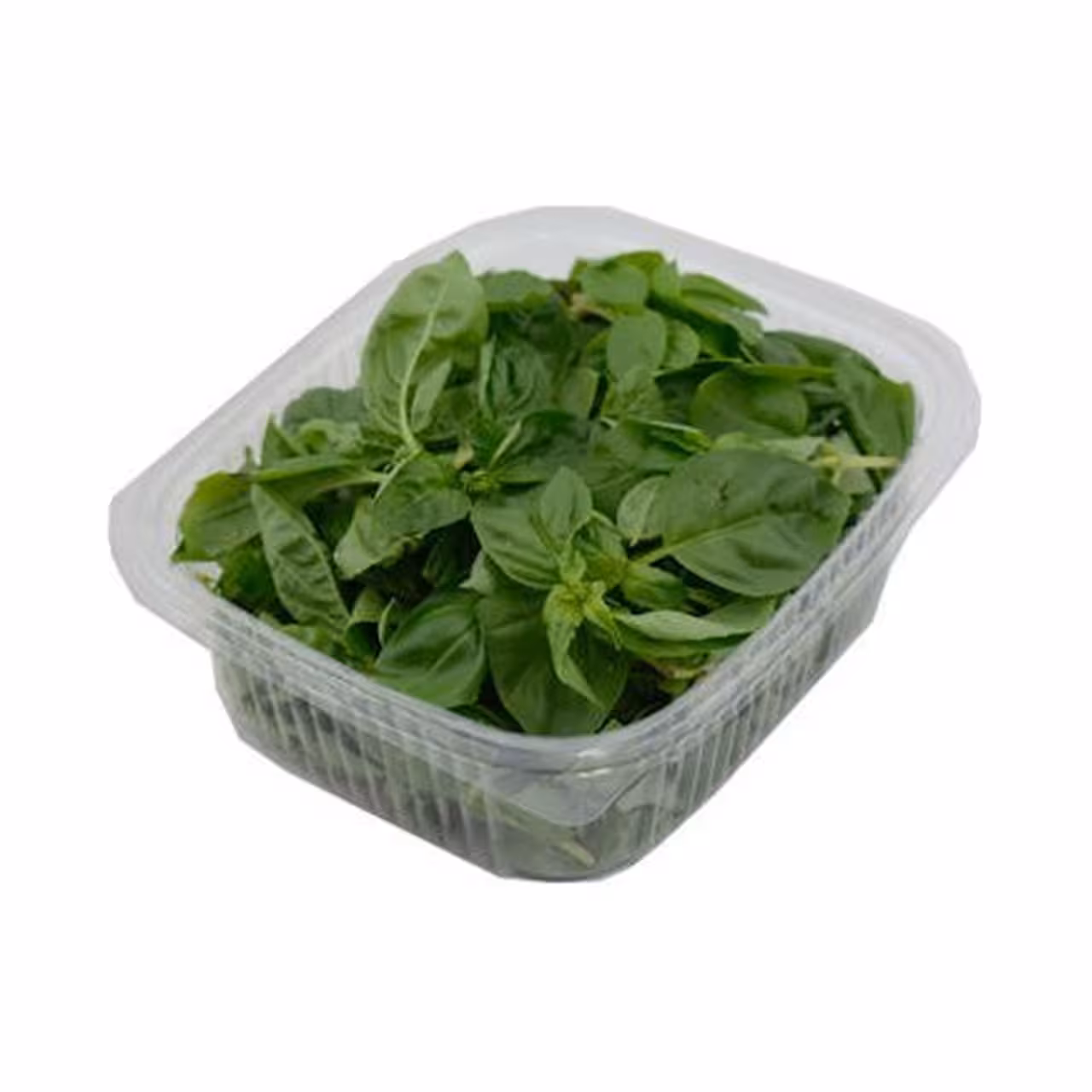 سبزی ریحان تازه درجه یک 1000 گرمی