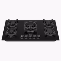 اجاق گاز صفحه ای DG 592 – داتیس/Datees