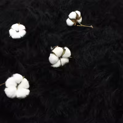 فرش ماشینی هیراد هوم فرنشینگ طرح خز پرز بلند فانتزی