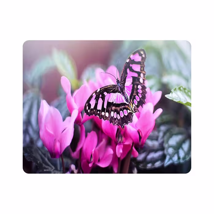 ماوس پد طرح پروانه و گل مدل T8092