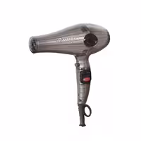 سشوار حرفه ای پرومارون مدل RL-8804