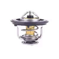 ترموستات هن تنگ X5